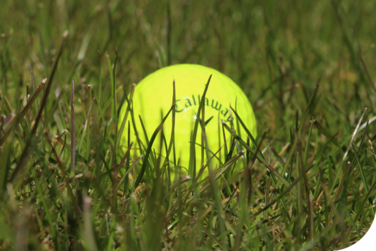 golfball-im-gras